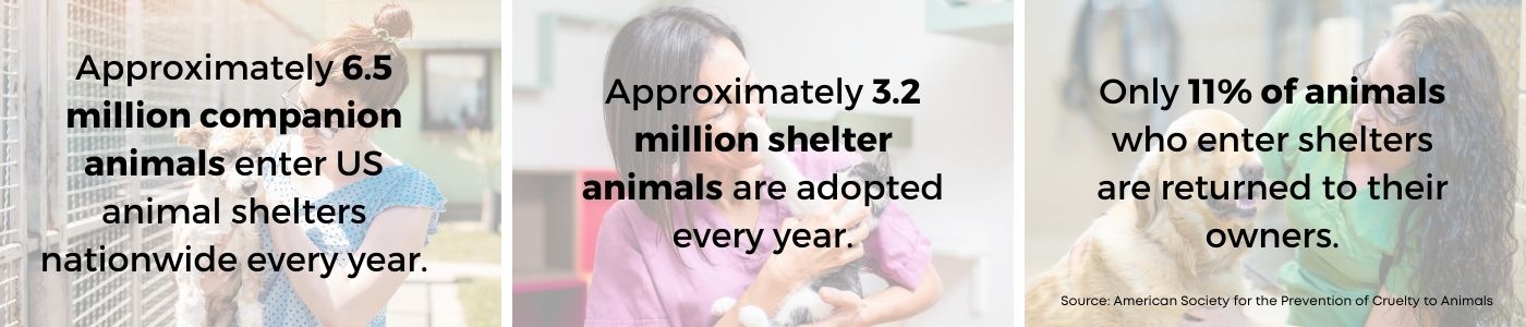 Approximately 6.5 million companion animals enter US shelters every year. Approximately 3.2 million shelter animals are adopted every year. Only 11% of animals who enter shelters are returned to their owners.