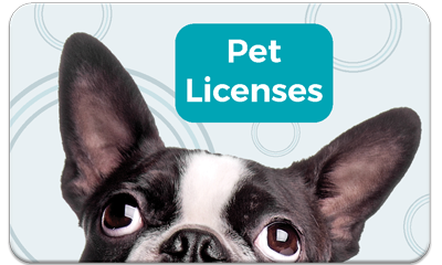 Pet Licenses