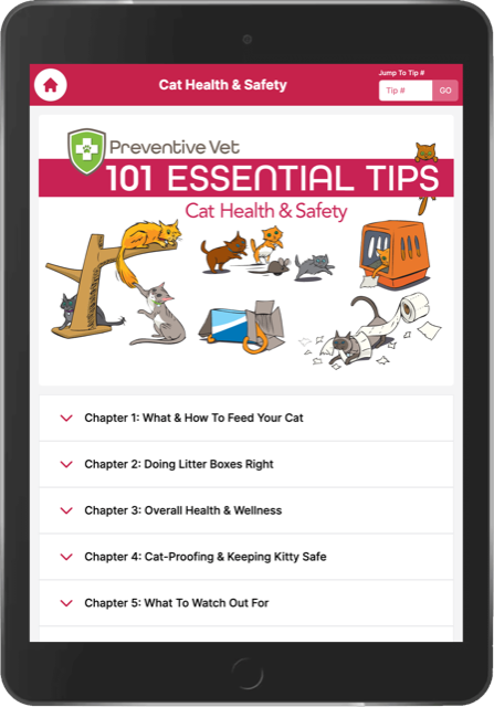 101 Essentials for Cats