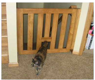 baby gate for kittens