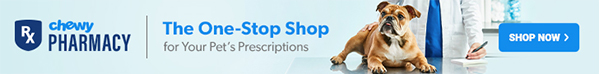 Chewy Pharmacy Ad - America Bulldog with Vet - The One Stop Shop