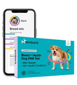 image of Embark DNA Test Kit