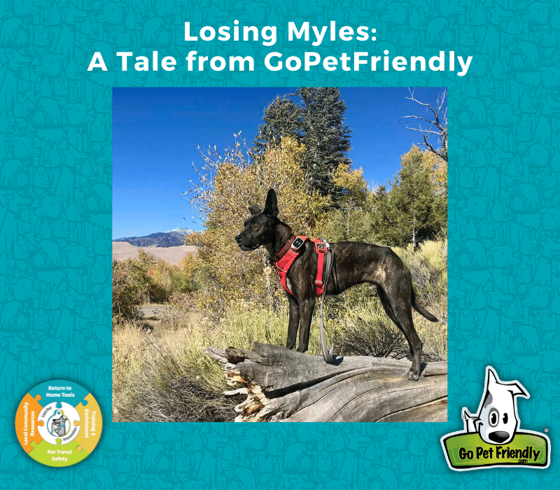 Losing Myles - A Tale from GoPetFriendly | PetHub