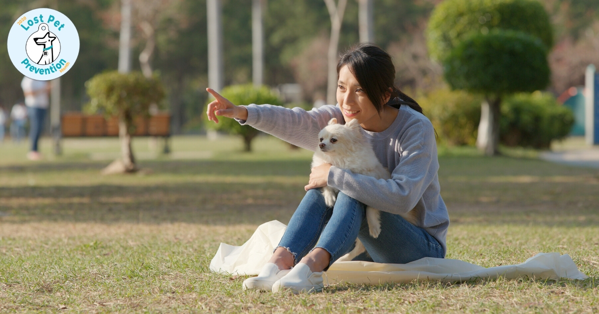 woman sitting in a park with dog