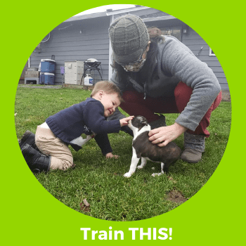 Training Hedy "Four on the Floor" for pets