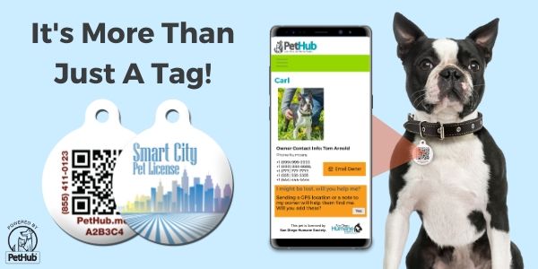 Why Your Pet Needs a Digital Pet ID Tag | PetHub