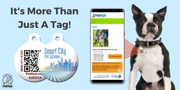 Infographic with text 'It's more than just a tag!' and imagery of PetHub tag and website