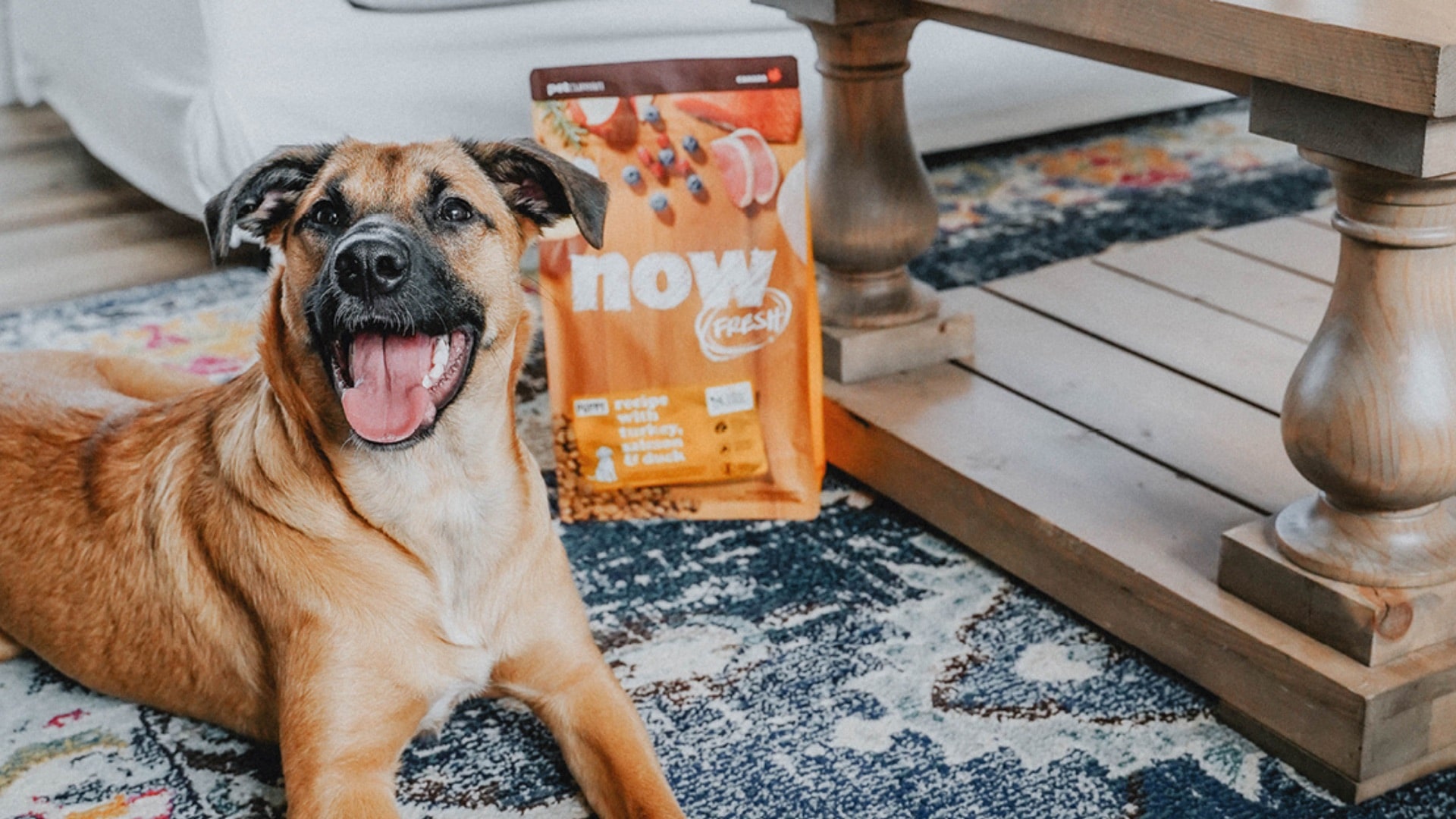 German Shepard Puppy happy next to Now Fresh puppy food