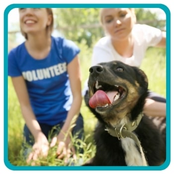Dog smiling with two volunteers behind them
