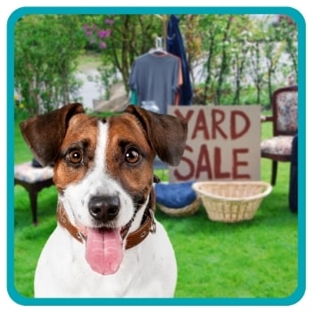Dog looking at camera with a yard sale sign behind them