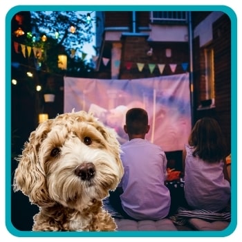 Dog looking at camera with outdoor movie screen behind them
