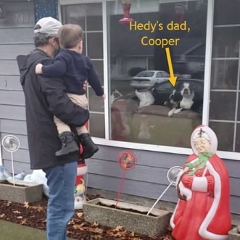 Tom and Sagan looking and Hedy's dad through the window