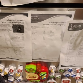 Checklists from Raising Your Puppy posted to fridge