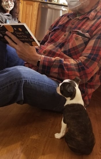 Hedy reading his first book with grand"paw"