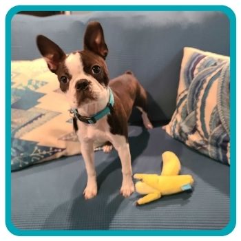 Hedy with her Banana Toys