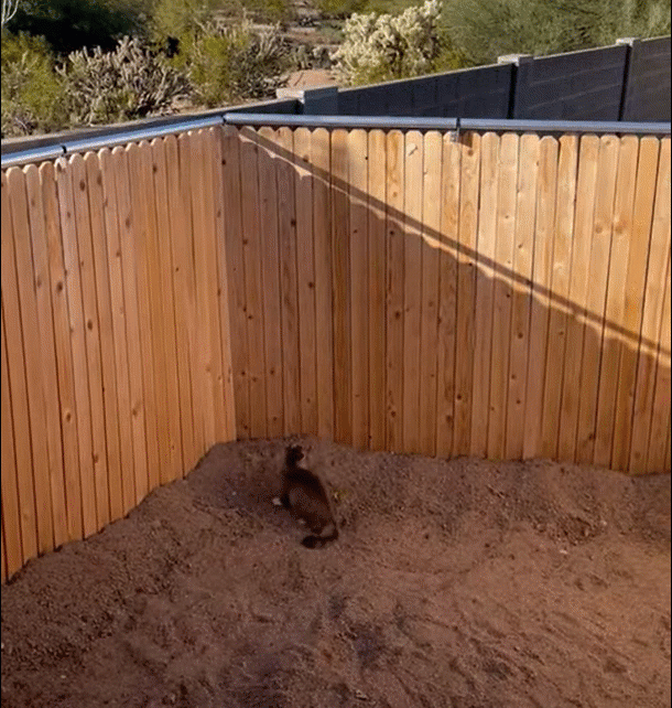 Coyote Rollers on top of fence keeps cat from jumping over