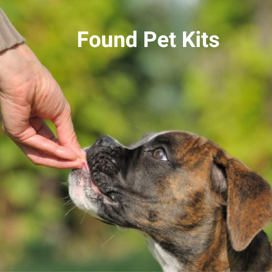 Help Stray Dogs and Cats with a Found Pet Kit