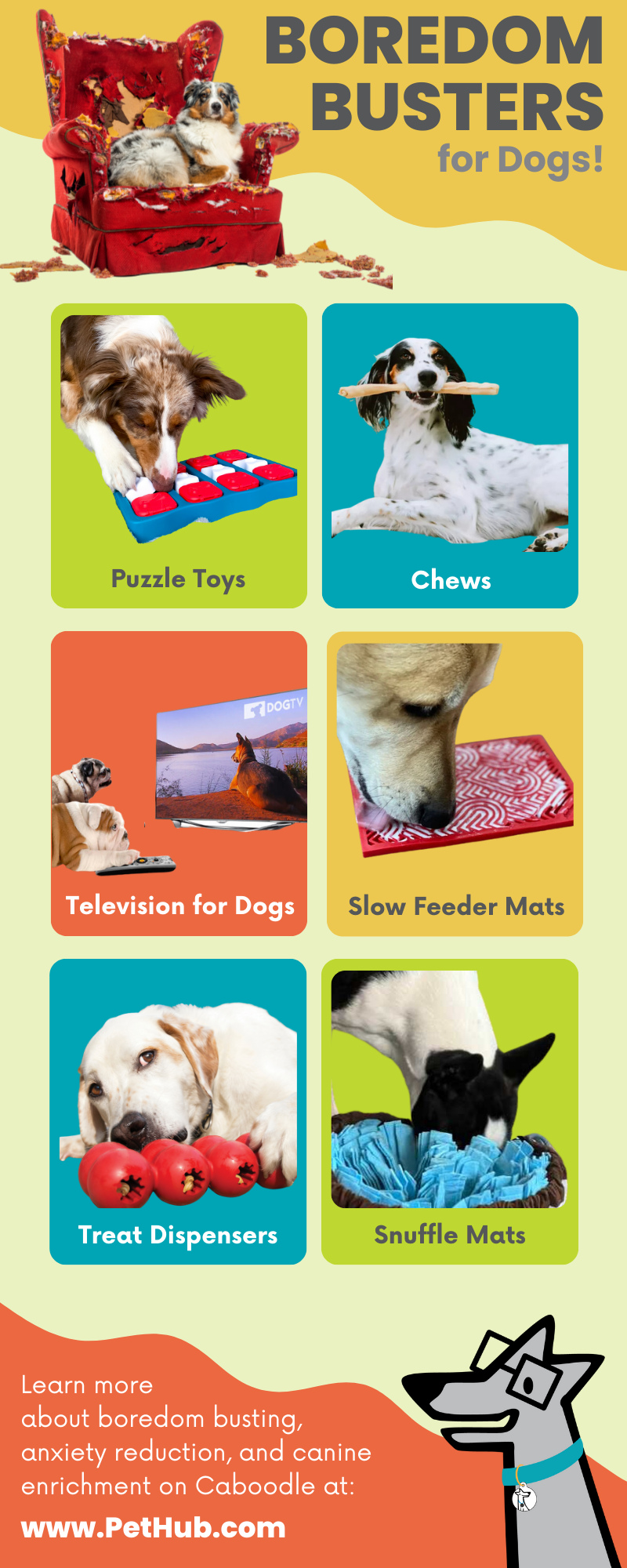 An infographic of 6 dog enrichment tools