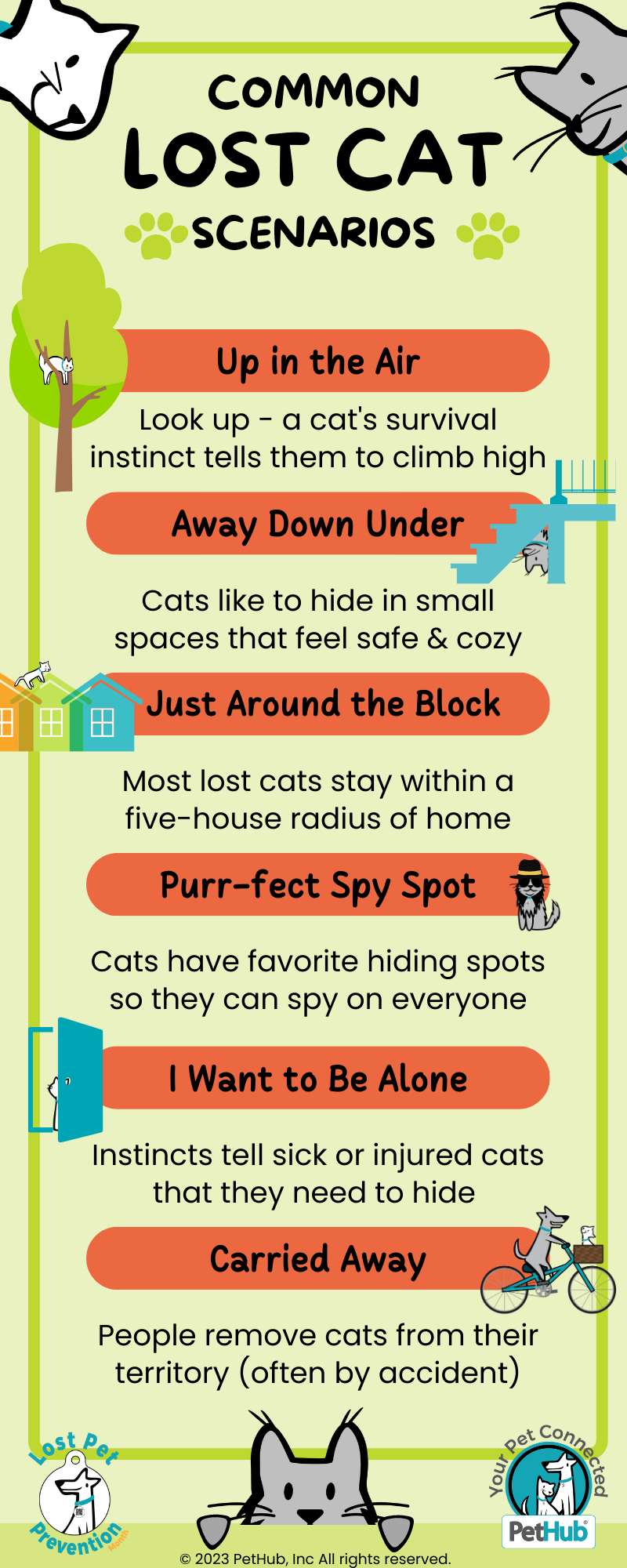 An infographic showing 6 common lost cat scenarios