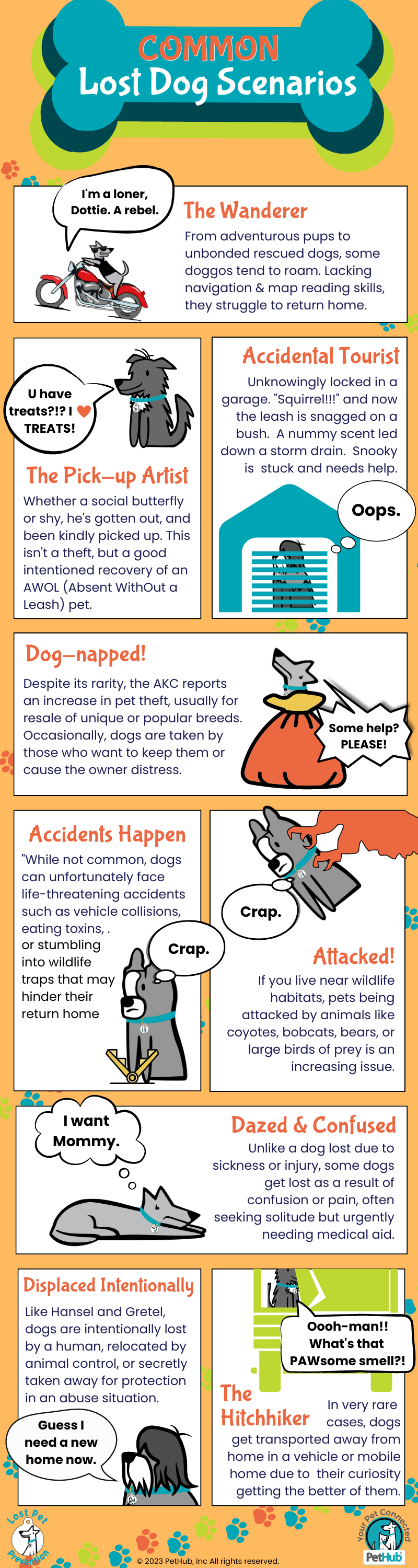 An infographic showing common lost dog scenarios