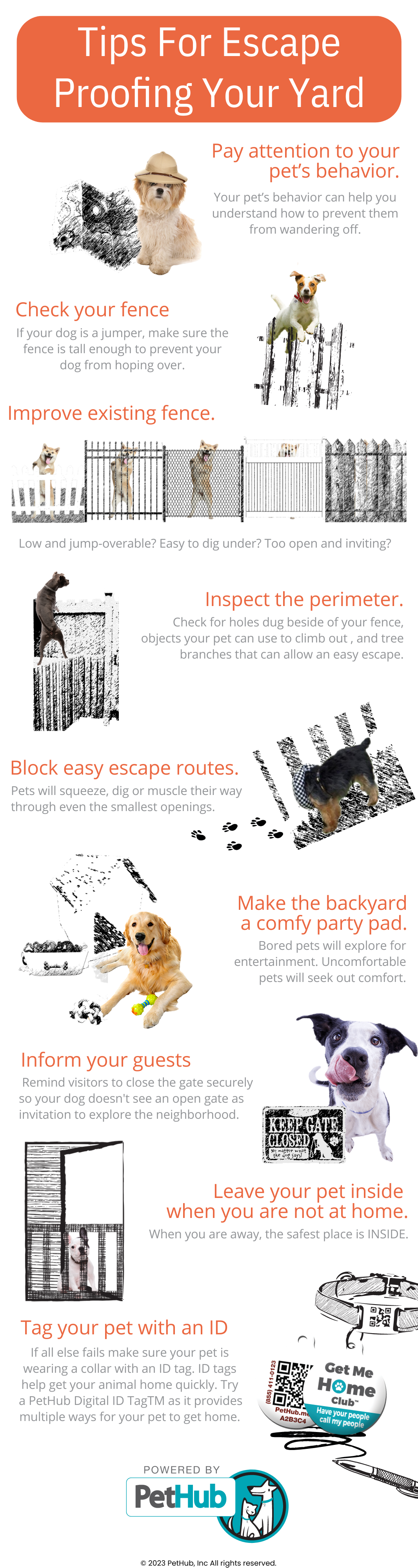 An infographic showing 9 ways to make your yard secure so pets can't escape and get lost.