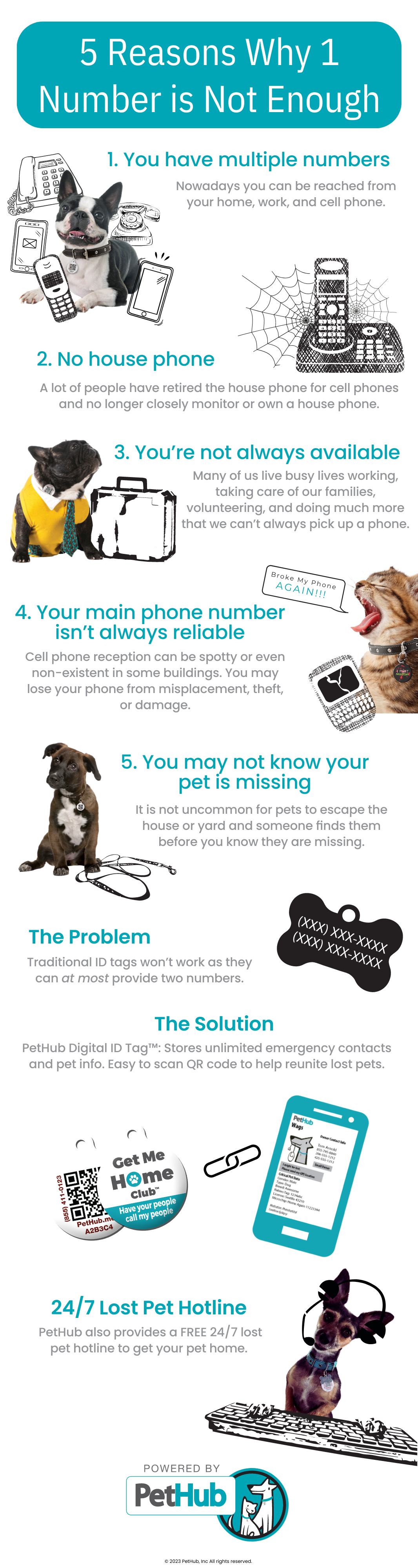 An infographic showing 5 reasons an ID tag with one phone isn't enough and the needs for digital ID tags.