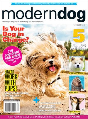 Modern Dog Magazine - Save 50% On 1yr Subscription | PetHub