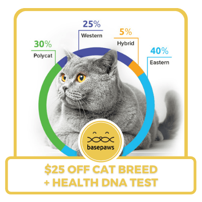 $25 off cat breed and health DNA test