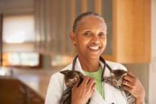 Veterinarian holding two kittens