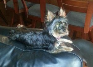 Daisy Mae