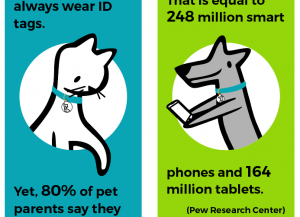 pet ids