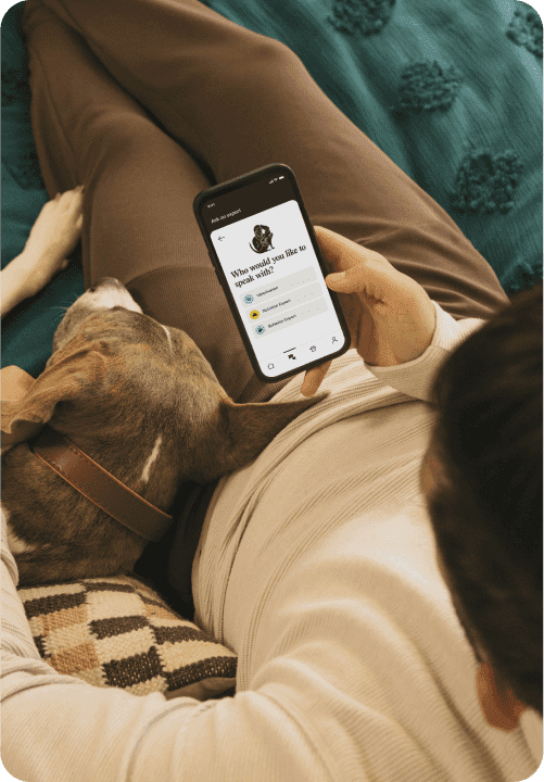 person with a smartphone on their hand with the Kin App on the screen as they sit next to a dog